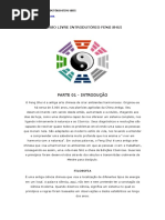 Feng Shui Curso Fernando Martins