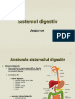 sistemul digestiv pdf)