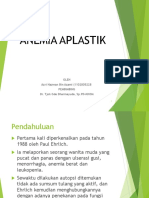 Anemia Aplastik