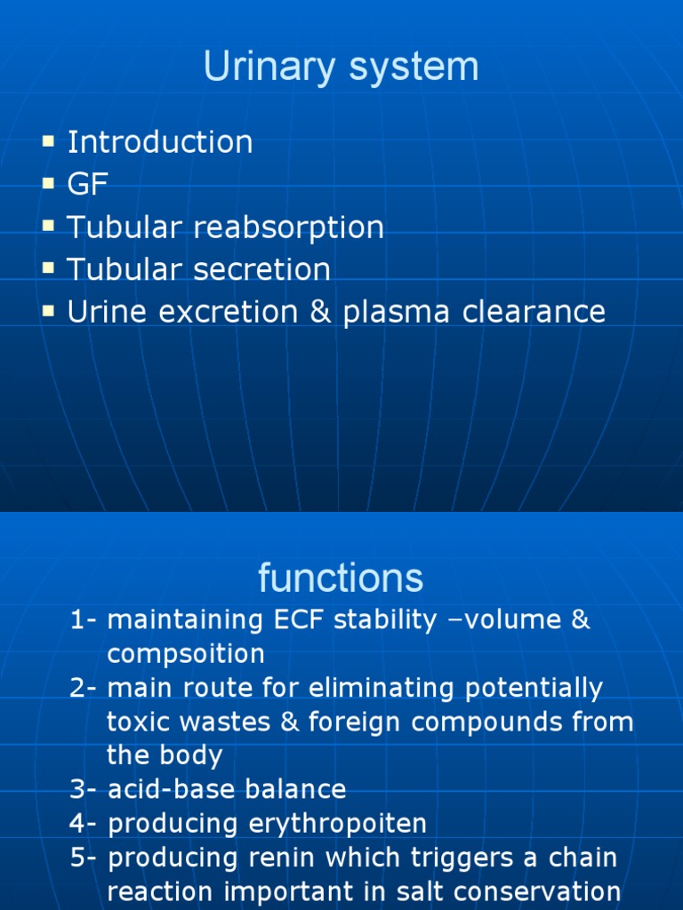 Functions of the Urinary System | PDF | Angiotensin | Kidney