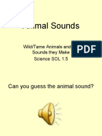 Animal Sounds: Wild/Tame Animals and The Sounds They Make Science SOL 1.5