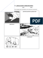 Sensaciones o Percepciones