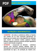 Nutricao e Bioenergetica