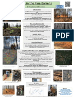fire poster pdf