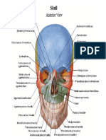 65544379-Atlas-Netter-PDF.pdf