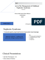 Sindrom Nefrotik