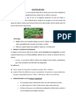 CULTIVO DE OCA   RESUMEN (2).docx