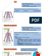 L'Apparato Circolatorio