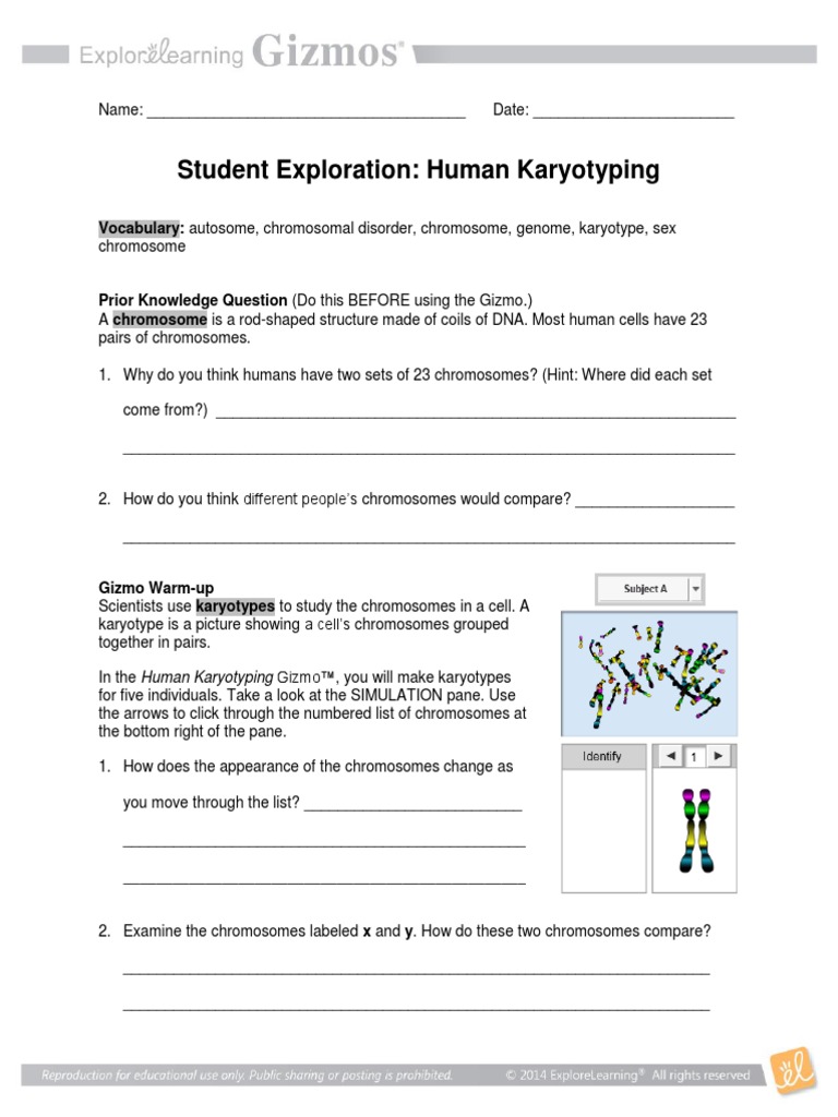 Biology Karyotype Worksheet Answers Key Promotiontablecovers