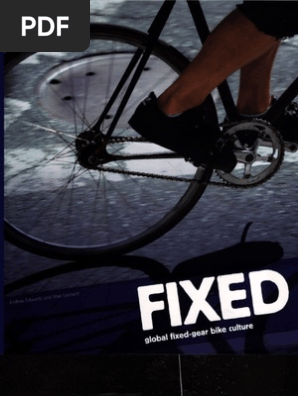 flying donkey fixie bike