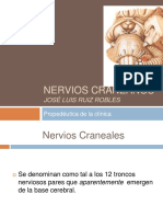 nervioscraneanos-111020215859-phpapp02.pdf