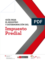 Guia_para_el_registro_y_determinacion_IP.pdf