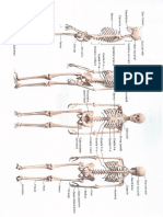 Desene Anatomie PDF