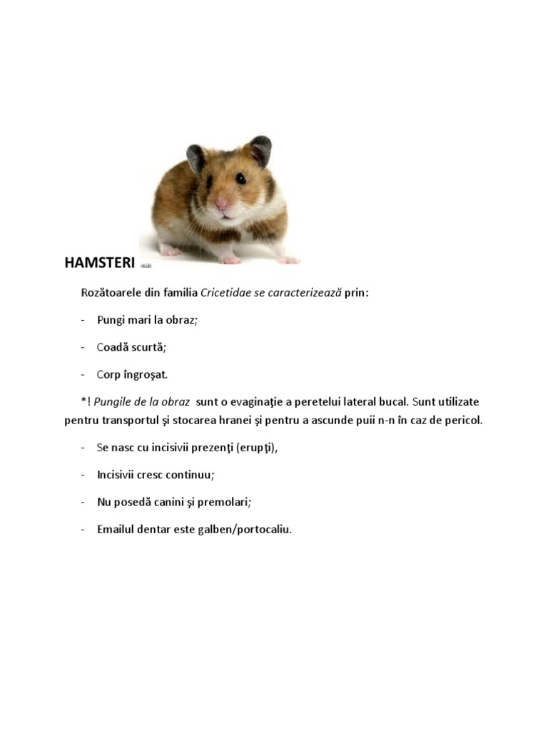 Patol Ex | PDF
