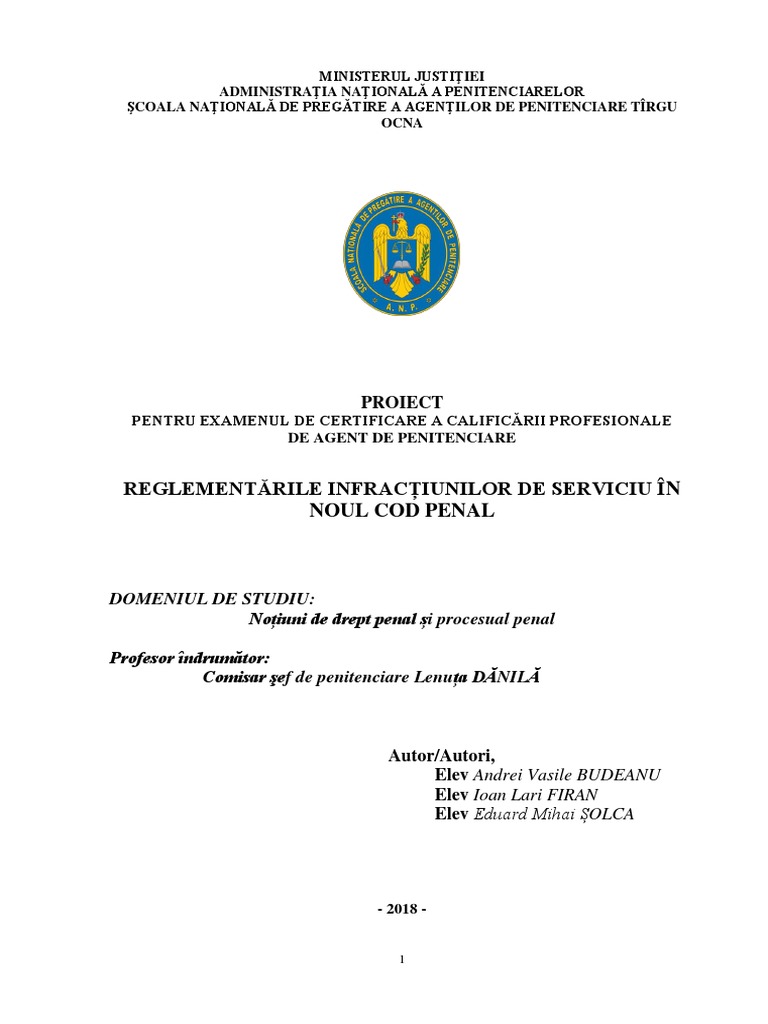 Budeanu Solca Firan Proiect Pdf