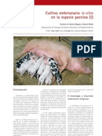 Cys - 33 - 40-45 - Cultivo Embrionario in Vitro en La Especie Porcina (I)