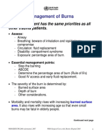 Burns_management(1).pdf