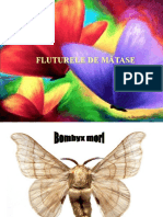 Fluture de Matase Ps