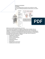Clasificacion de Las Bobinas de Encendido