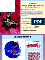 Metabolisme Intermedier