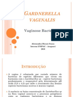 Vaginose Bacteriana - Gardnerella