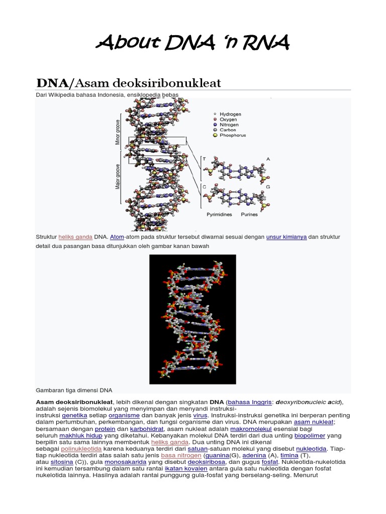 Struktur dan Fungsi DNA dalam Biologi | PDF | Kajian Bahasa Asing ...