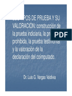 Diapositivas - tipos_de_prueba_y_su_valoracion-luis_vargas_valdivia.pdf