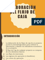 Elaboracion Del Flujo de Caja 1