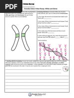 Alleles and Genes (HANDOUT)