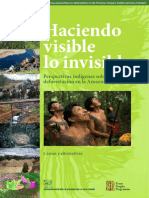 FPP - AIDESEP Peru Deforestation Study - Low