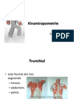 LP 2 Trunchiul