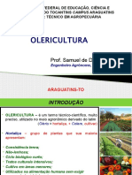 Aulas de Olericultura - Aula 1 (Conceitos Gerais, Cenoura, Alface e Coentro)