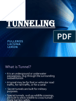 Sheena Fulleros Tunneling