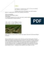 Manual para el Cultivo de Rosas.pdf