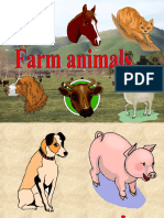 Animals