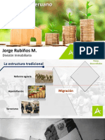 11 Jorge Rubiños Consumidor Peruano Nueva Clase Media PDF