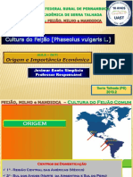 Origem e cultivo do feijão