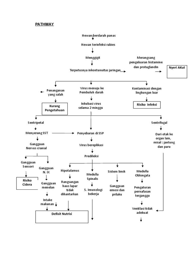 Patofisiologi dan Jalur Rabies | PDF