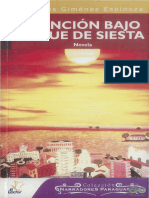 Asuncion Bajo Toque de Siesta - Hermes Gimenez Espinoza - Ano 2007 - Portalguarani