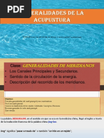 Definitivo-Generalidades de a Cupuntura_2