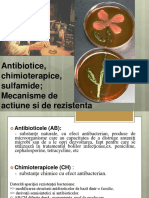 C3-1antibiotice