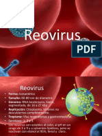 Reo Virus