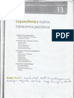 200125053-Cap-13-Esquizofrenia-e-outros-transtornos-psicoticos.pdf