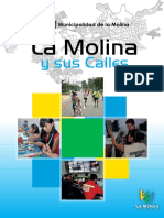 Libro Calles Lamolina PDF