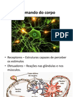 8º Anos - Ciências - Sistema Nervoso PDF