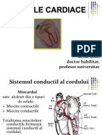 Aritmiile Cardiace Final Corecat