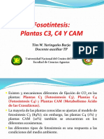 Plantasc3 c4 Cam