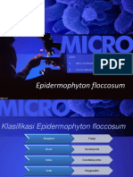 Mycology Epidermophyton Floccosum