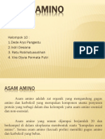 Asam Amino