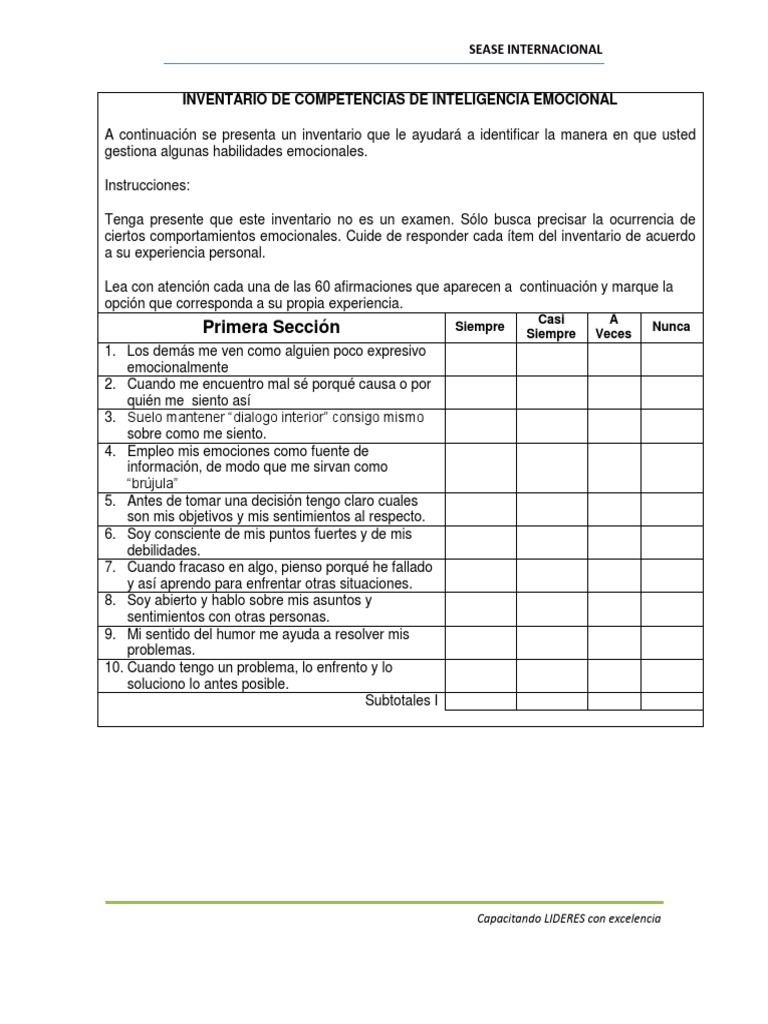 Inventario de Competencias de Inteligenc PDF | PDF | Grupo de trabajo